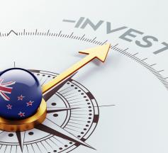 active investor plus