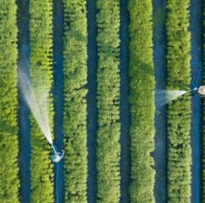 istockphoto 1193076990 612x613