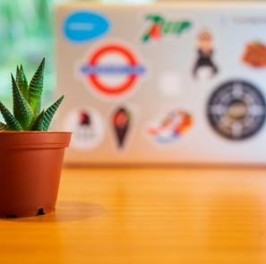 slidebean hYN111MD M unsplash